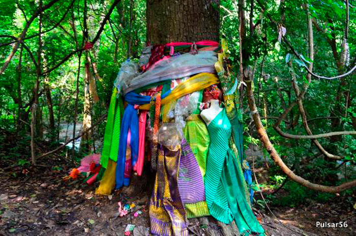 Дерево Духов в Тайланде, украшенное лентами