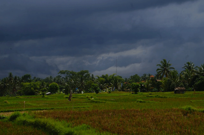 В Таиланде завершается сезон дождей