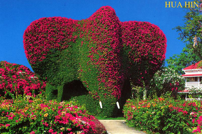 Цветочный слон в Хуа Хине