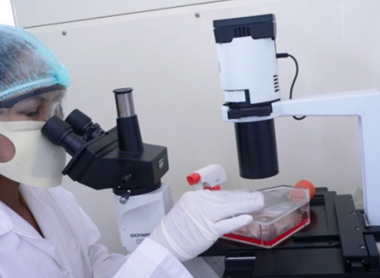 Исследование вакцины в национальной лаборатории Таиланда по контролю качества вакцин и биопрепаратов