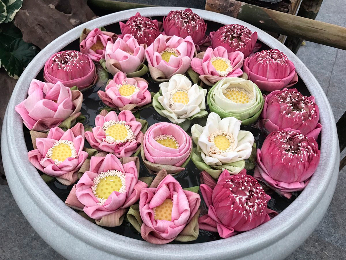 12 уникальных видов лотосов представлены посетителям 11 Цветочной ярмарки в Бангкоке. Фото NNT