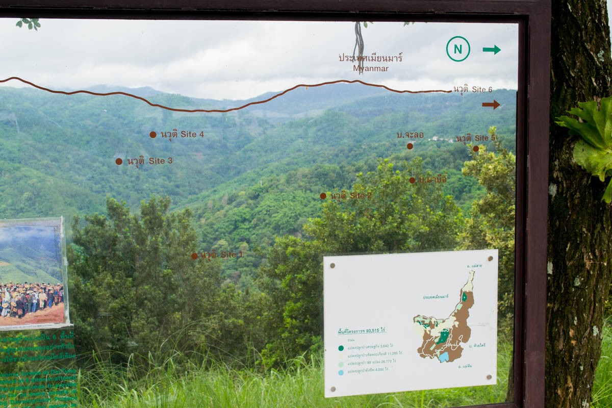 Интерактивная карта гор Дои Тунга с плантациями кофе и ореха макадамии. Фото Thailand News