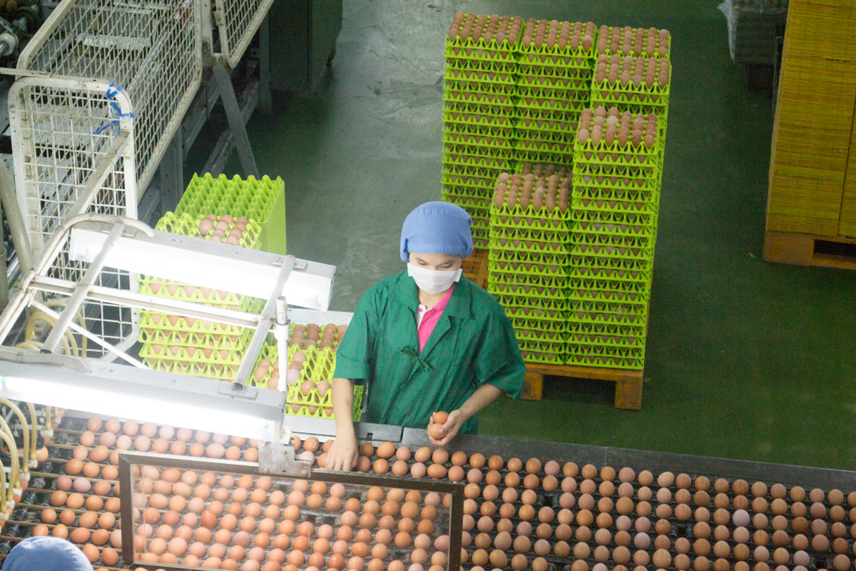Тайская компания Kasemchai Food (KCF), на которой работают тайские и иностранные рабочие из соседних стран. Фото Новости Таиланда