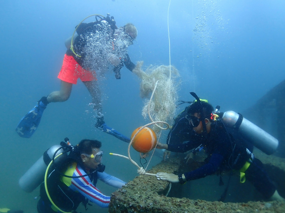 Искусственные водоросли на искусственных коралловых рифах создадут натуральную новую экосистему. Фото The Nation