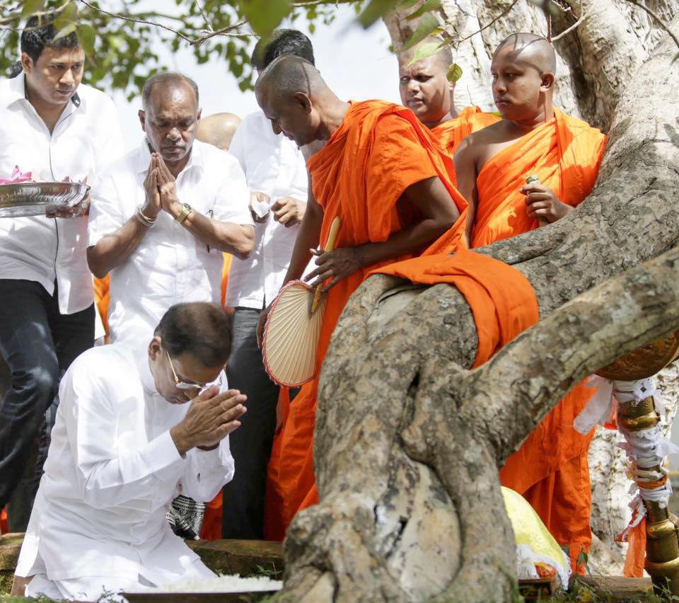 Священное дерево Шри Маха Бодхи. Фото МИД Таиланда