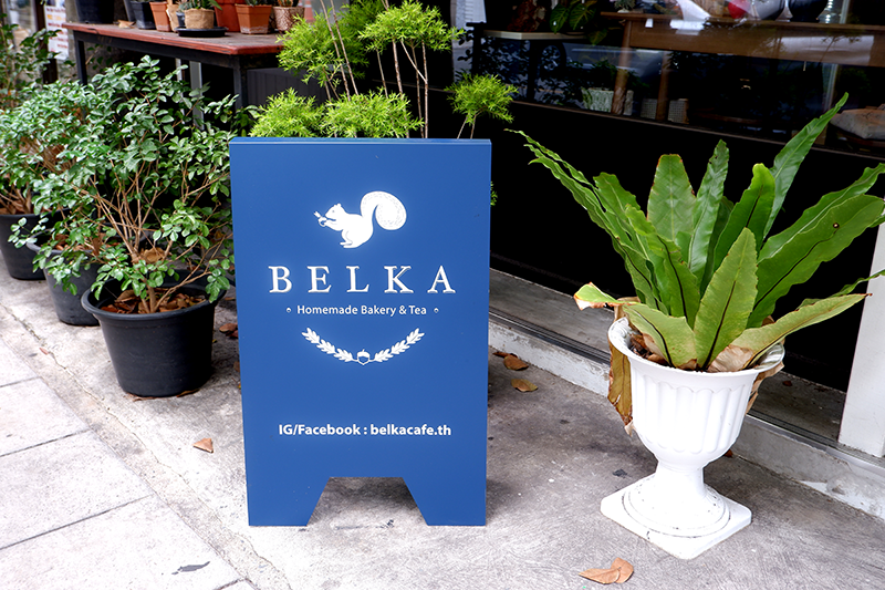 Кафе "Belka" в Бангкоке. Фото khaosodenglish.com