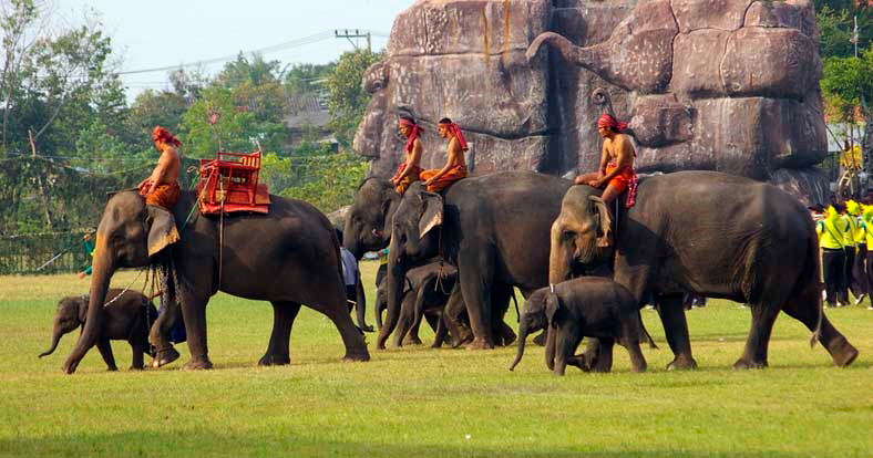 Шествие в День слона 2022 в провинции Сурин