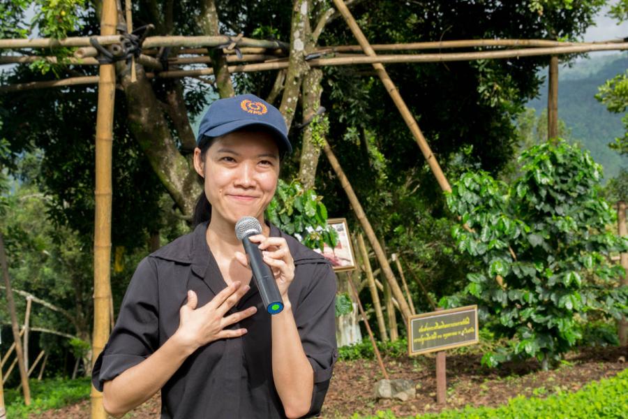 Менеджер программы улучшения качества кофе г-жа Випава Чуенчит. Королевский проект Дои Тунг. Фото Новости Таиланда