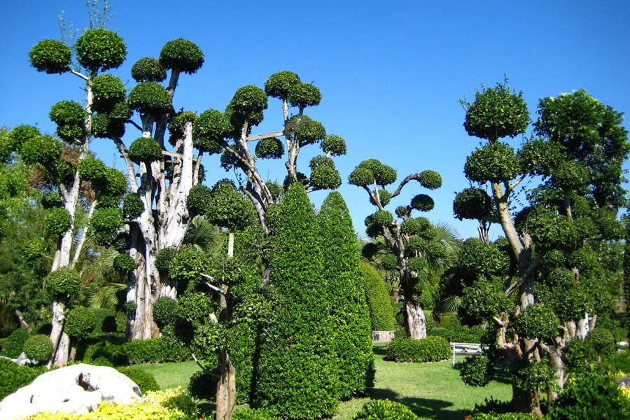 Ботанический сад Королевы Сирикит в Чианг Мае