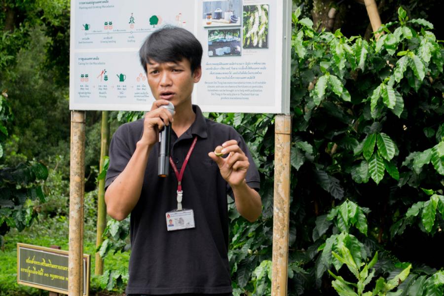 Проект развития "Дои Тунг" создал условия для новой жизни и нового сознания нового поколения жителей горных племен Дои Тунга. Фото Новости Таиланда