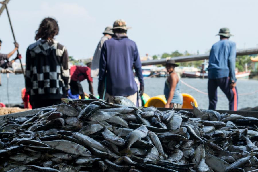 Порт Самут Сакхон в Таиланде. Фото Новости Таиланда