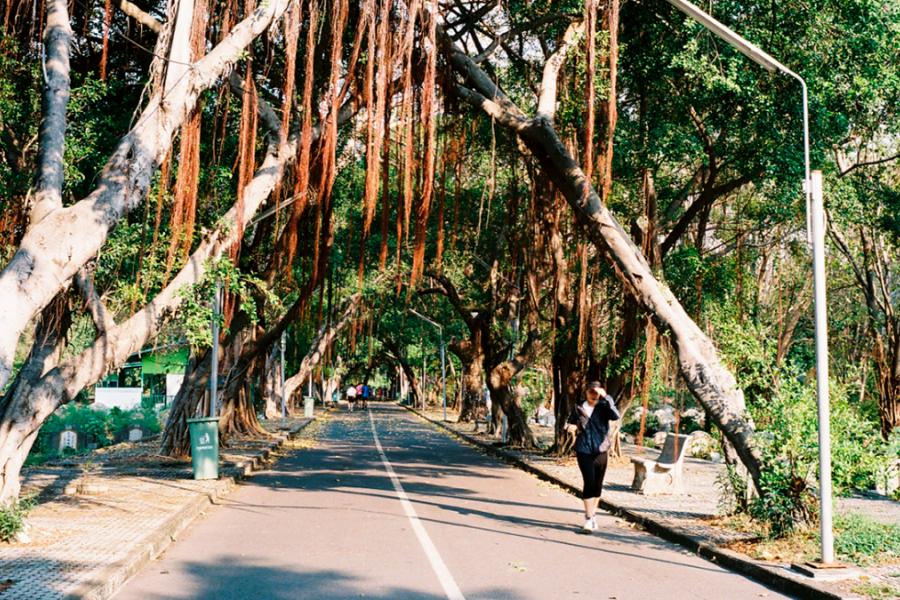 Парк Теохью на Саторне. Фото Coconuts
