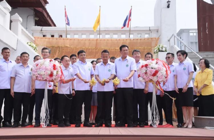 Новый колледж тайского массажа поднимает мировые стандарты