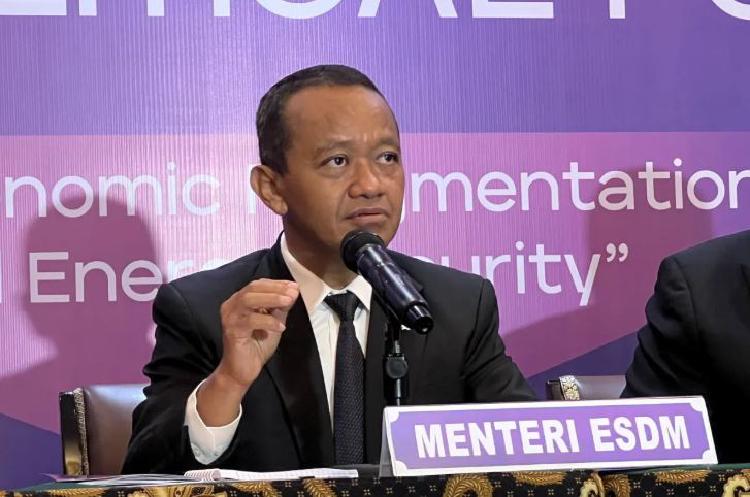 Индонезия планирует запустить первую атомную электростанцию к 2034 году