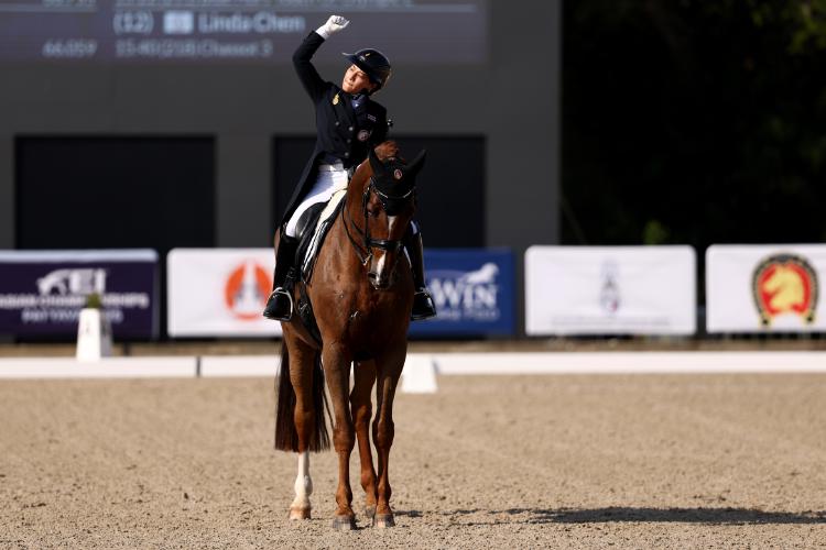 Почувствуйте себя на коне!