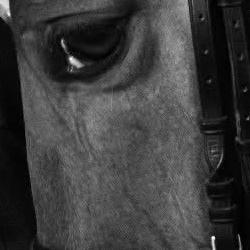 Princess’s Cup Thailand — элегантная традиция, объединяющая спорт, культуру и королевский дух