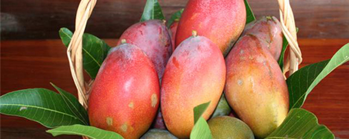 Тайские манго признаны самыми лучшими в мире