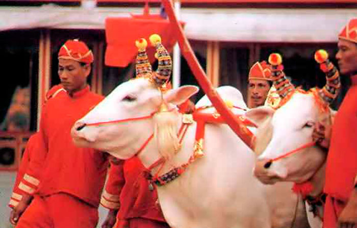 Церемония королевской вспашки в Сиам Луанге