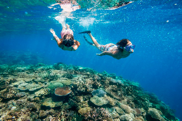 Риф на Ко Крадане расположен совсем близко к пляжу, поэтому, если вы не сильный пловец, вы можете побывать на нем во время отлива.