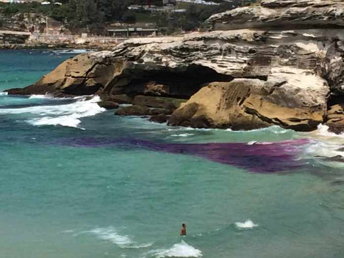 Фиолетовая краска, вылитая в море на Кароне, показывает движение подводных токов.