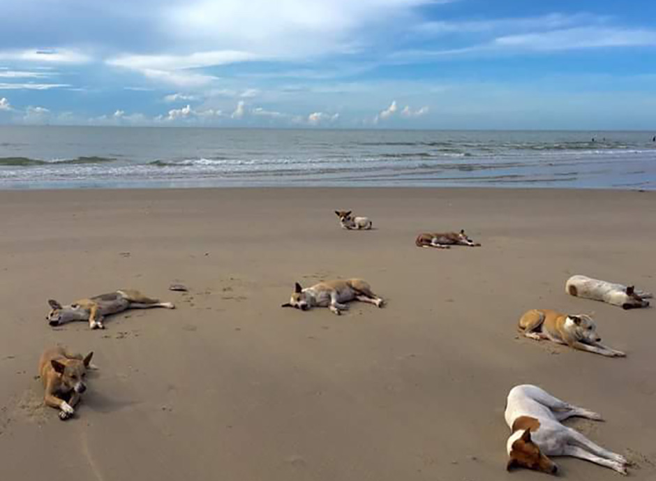 Безмятежность. Пляж Хуа Хина