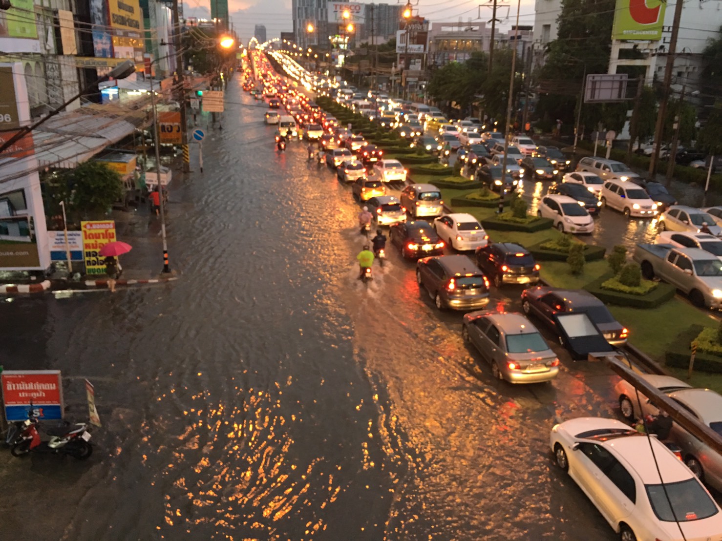 Бангкок осадки. Климат Бангкока. Паттайя дождь.