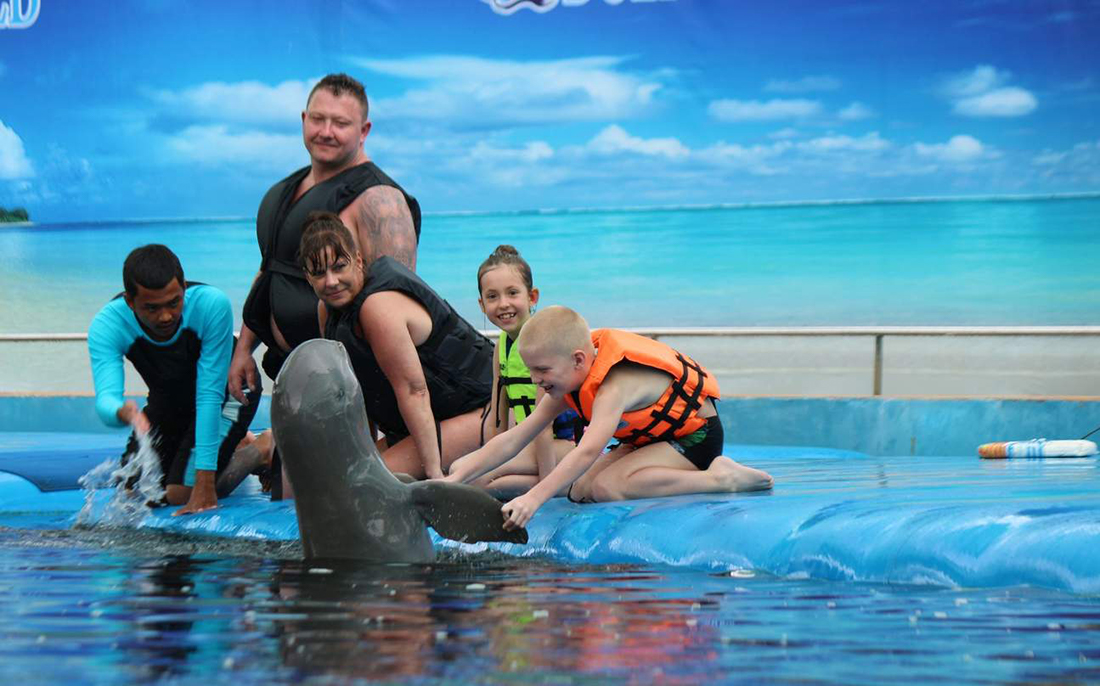 Мир дельфинов в Паттайе, где дети купаются и контактируют с дельфинами