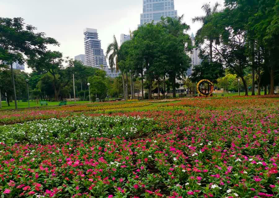 Фестиваль "Флора Бангкока" в парке Люмпини. Фото NNT