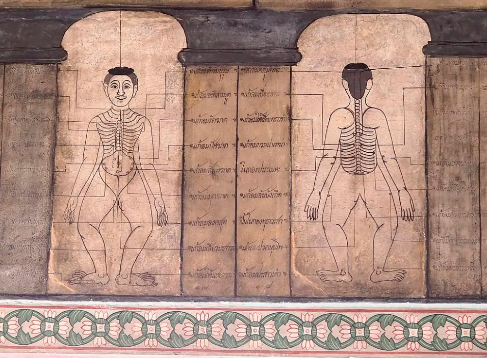 Иллюстрация каналов сен, или энергетических линий. Входит в набор каменных табличек для всеобщего изучения, выставленных в Ват Пхо во времена правления короля Рамы III (1787-1851), и до сих пор считается наиболее полным репертуаром знаний о традиционном тайском массаже.