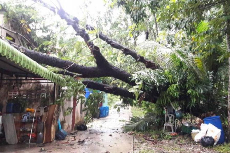 Ущерб от штормов на Пхукете оценивается в 300 тыс бат