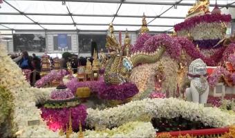 Embedded thumbnail for Тропический сад Тайланда Нонг Нуч — шестикратный чемпион Chelsea Flower Show  &gt; Параграфы