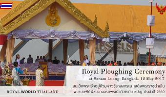 Embedded thumbnail for В Таиланде состоялась Церемония королевской вспашки &gt; Параграфы