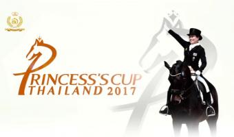 Embedded thumbnail for Королевский аллюр Таиланда – Кубок Принцессы 2017 &gt; Параграфы