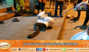 Embedded thumbnail for С помощью молотка спасатели выселяли питона из туалета в Бангкоке &gt; Параграфы
