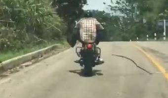 Embedded thumbnail for Видео Тайланд: Змея бросается на мотоциклиста &gt; Параграфы